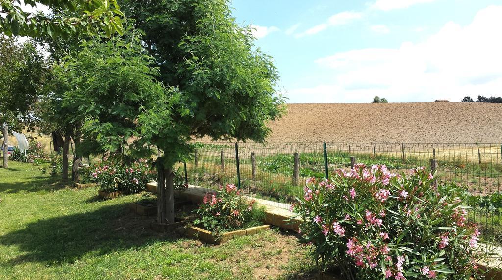 Agriturismo Airone Pitigliano Exterior foto